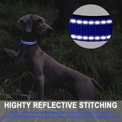ComfortGlow Dog Collar