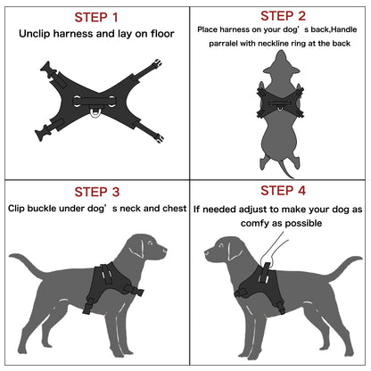 ReflectFit Harness
