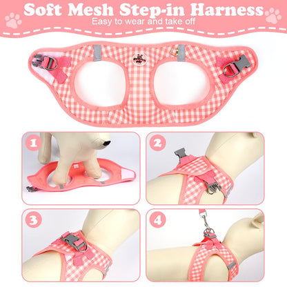 EasyWalk Pro Harness