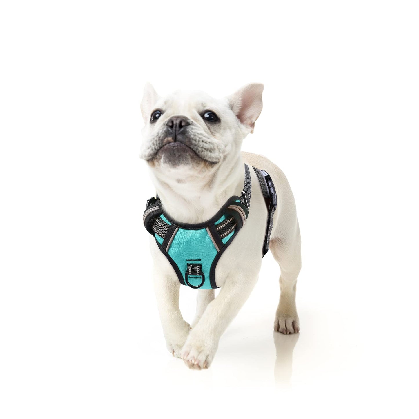 GuardianPro Dog Harness