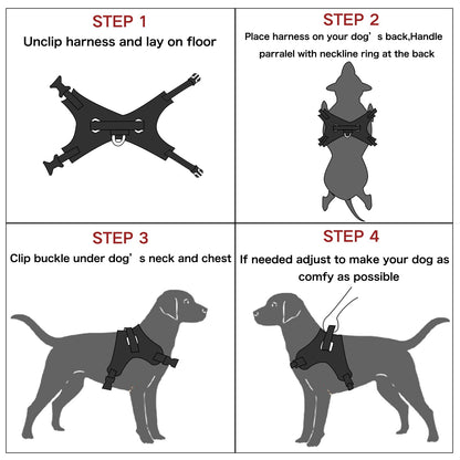 ReflectFit Harness
