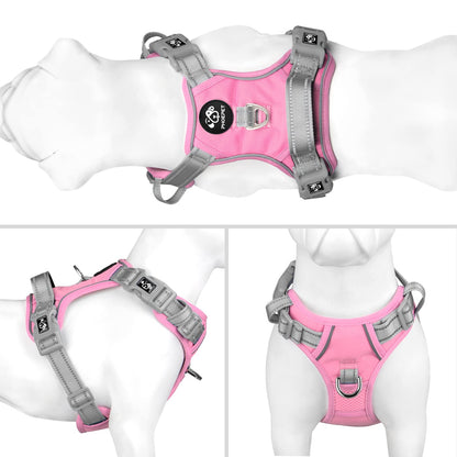 SecureFit Dog Harness