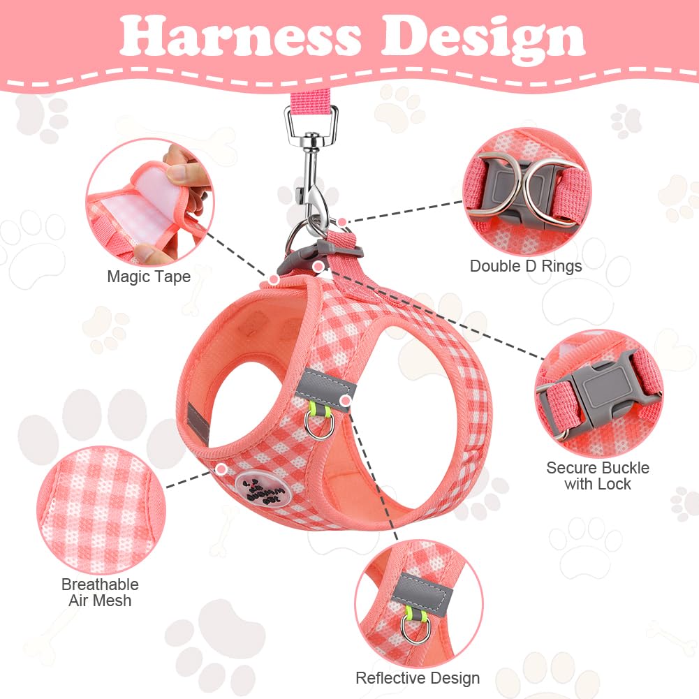 EasyWalk Pro Harness