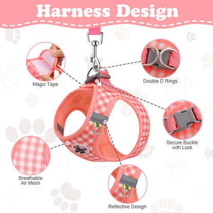 EasyWalk Pro Harness