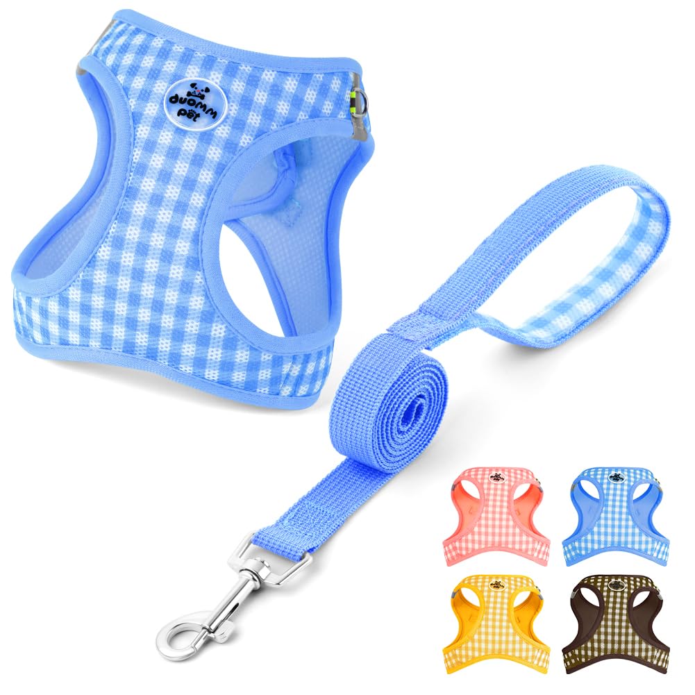EasyWalk Pro Harness