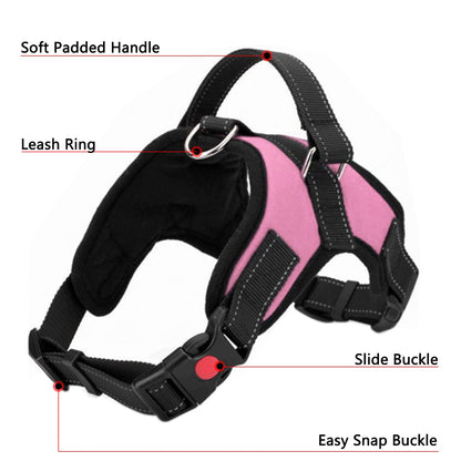 ReflectFit Harness