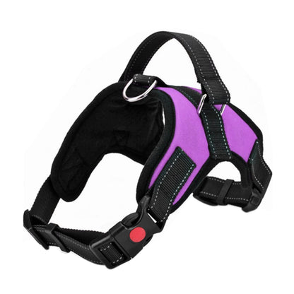ReflectFit Harness