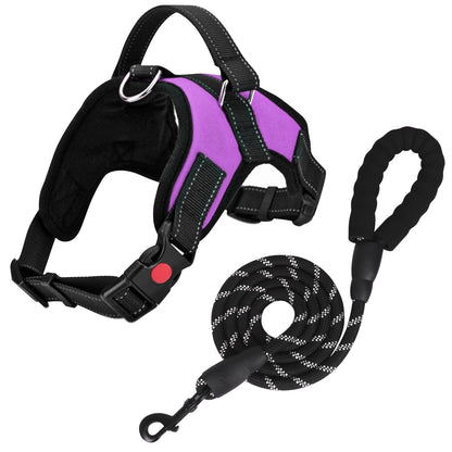 ReflectFit Harness