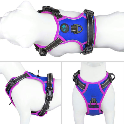 SecureFit Dog Harness