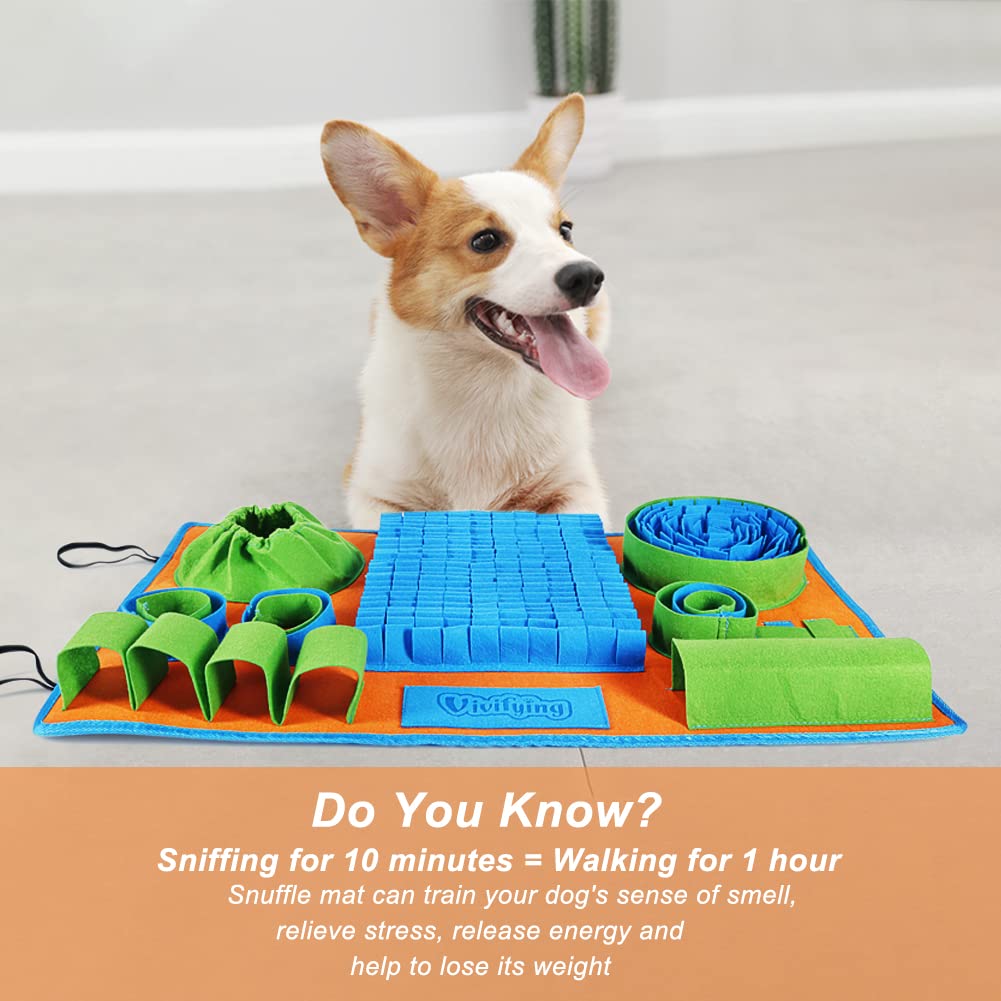 SniffSmart Feeding Mat