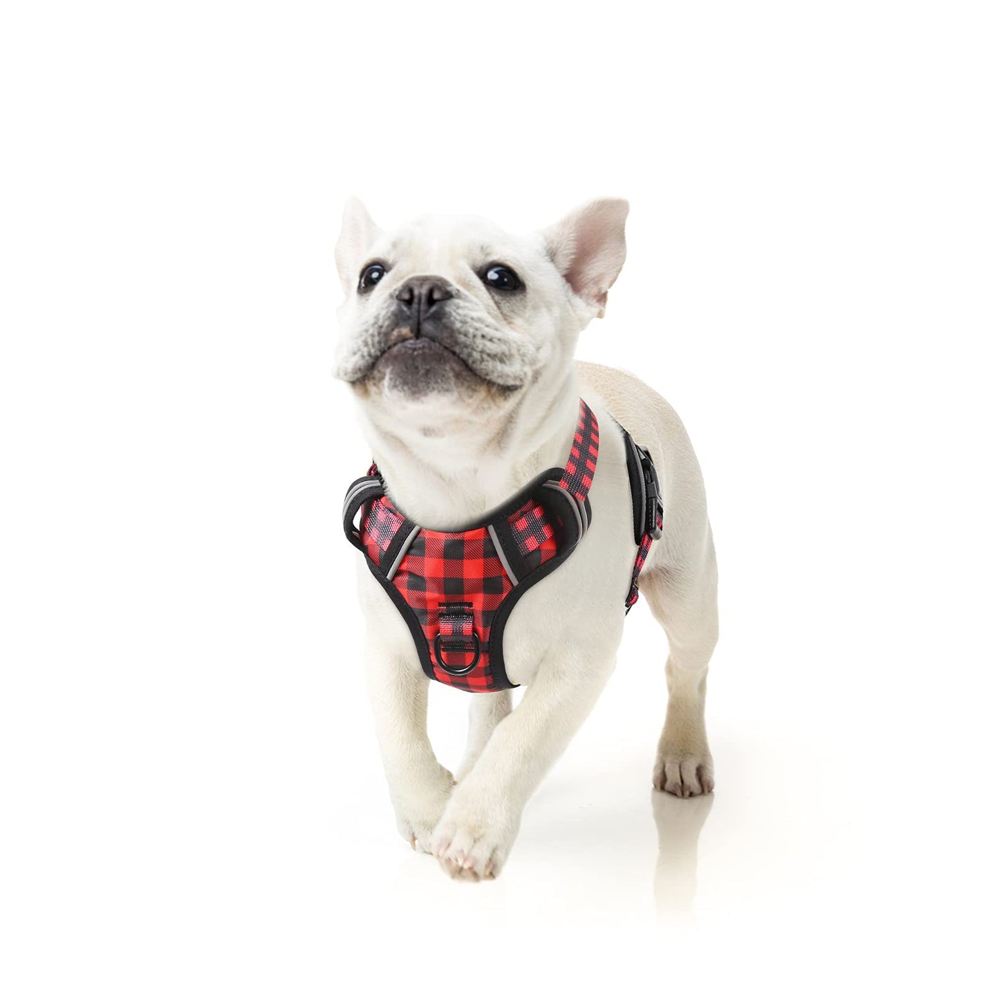 GuardianPro Dog Harness