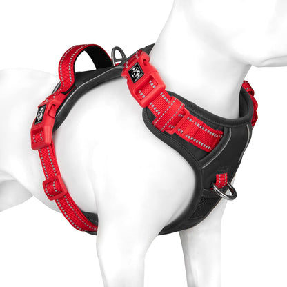 SecureFit Dog Harness