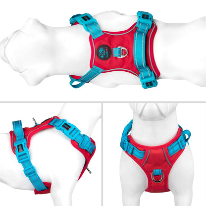 SecureFit Dog Harness