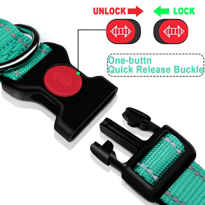 ComfortGlow Dog Collar