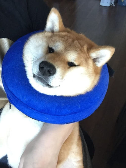 CloudComfort Recovery Collar