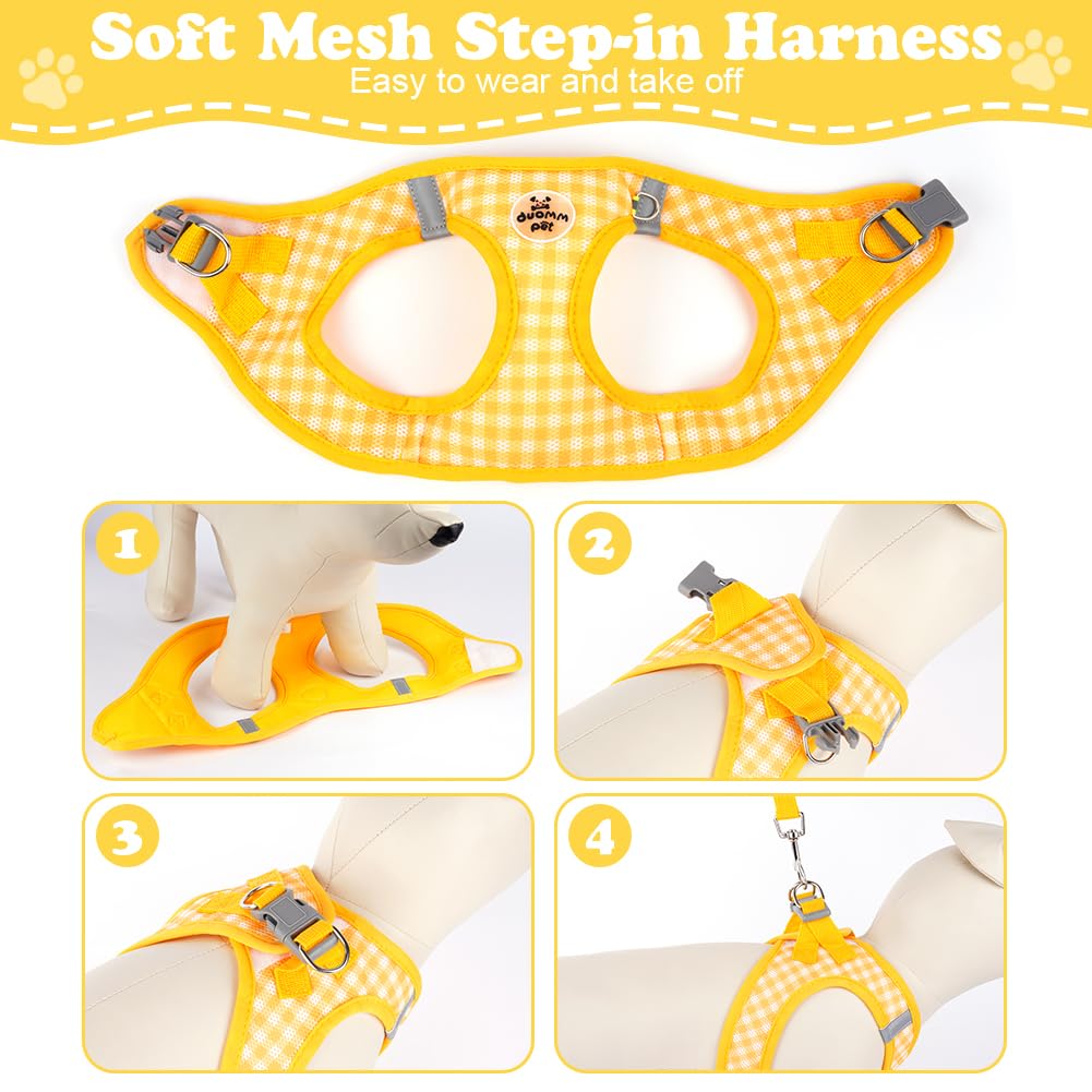 EasyWalk Pro Harness
