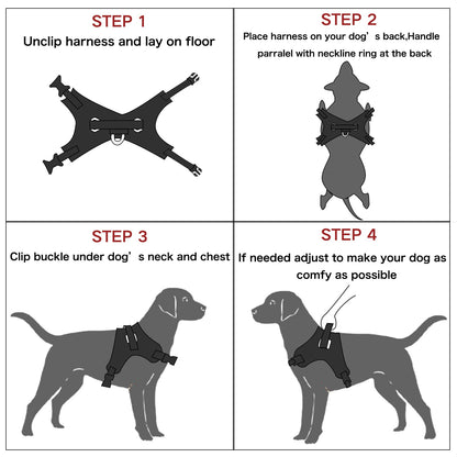 ReflectFit Harness