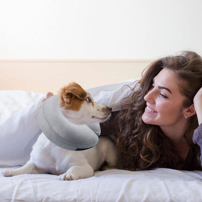 CloudComfort Recovery Collar