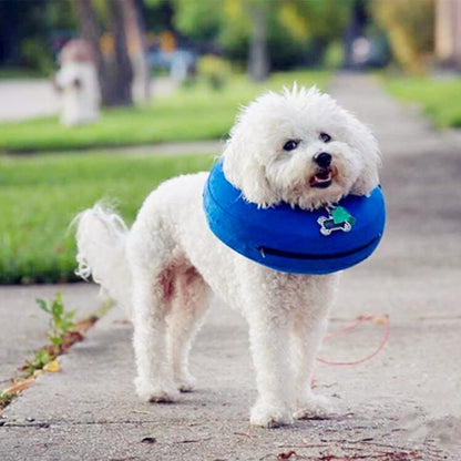 CloudComfort Recovery Collar