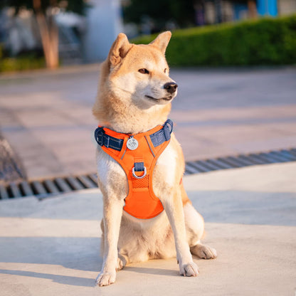 SecureFit Dog Harness
