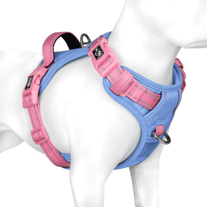 SecureFit Dog Harness