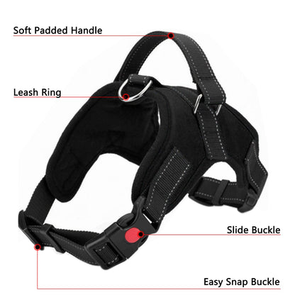 ReflectFit Harness