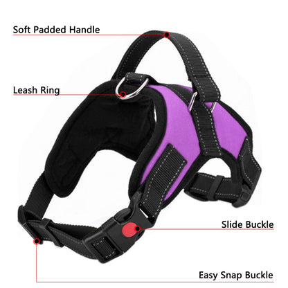 ReflectFit Harness