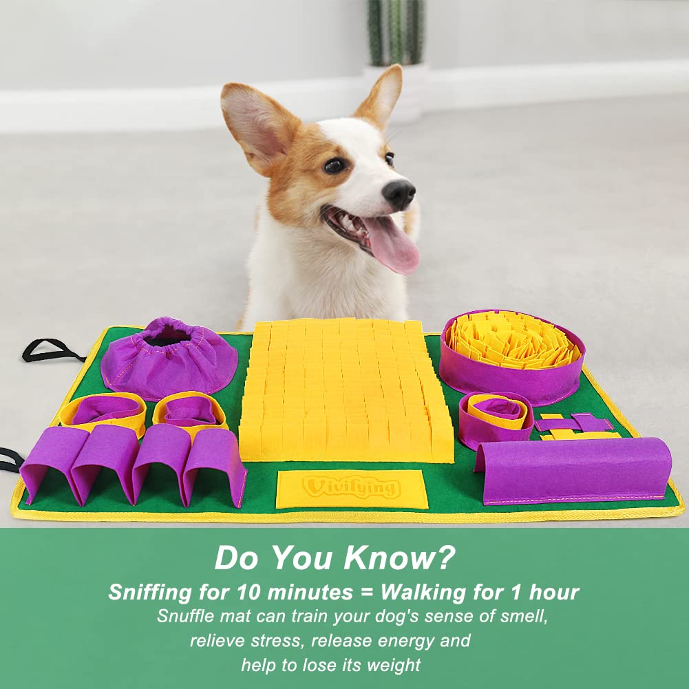 SniffSmart Feeding Mat