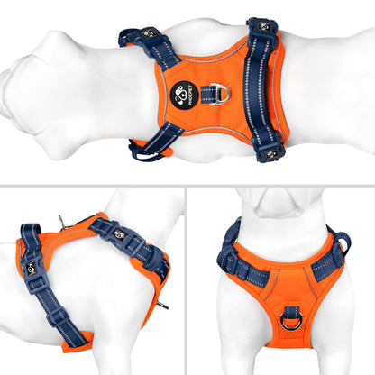 SecureFit Dog Harness