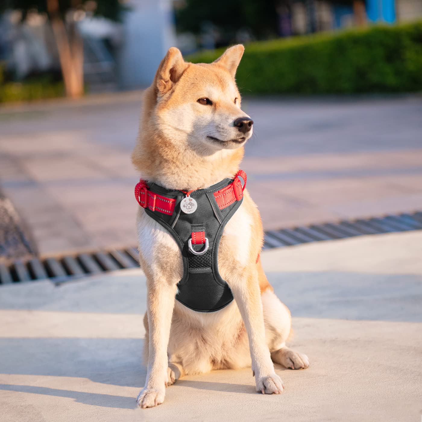 SecureFit Dog Harness