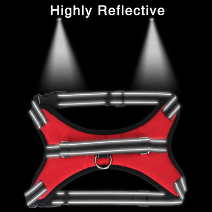 ReflectFit Harness