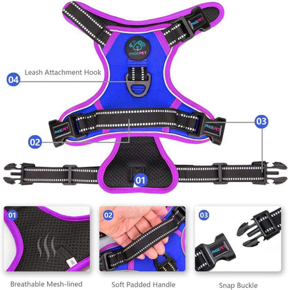 SecureFit Dog Harness