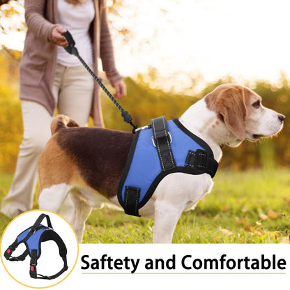 ReflectFit Harness