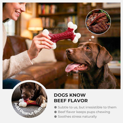 ArmorChew Bone