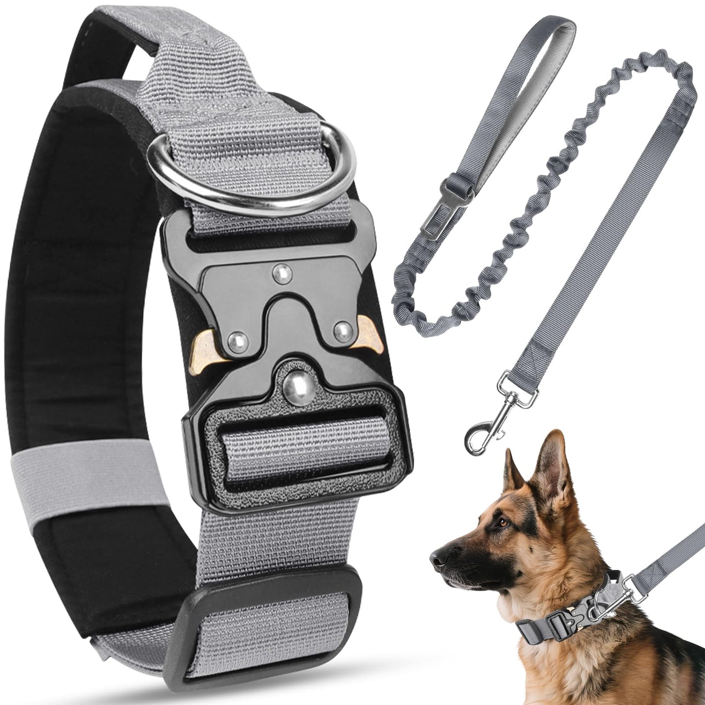 Guardian Tactical Collar