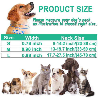 ComfortGlow Dog Collar