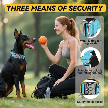 Guardian Tactical Collar
