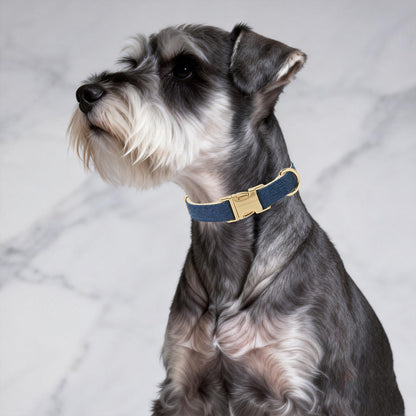 Heritage Tweed Collar