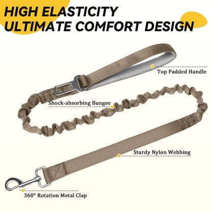 Guardian Tactical Collar