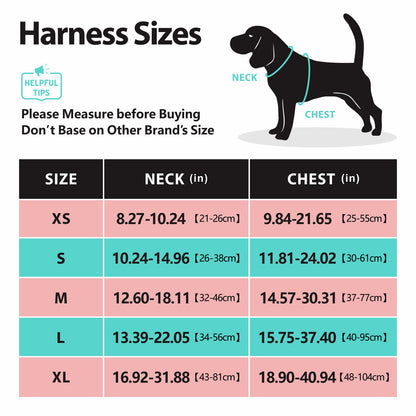AdventureFit Dog Harness