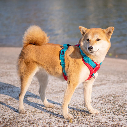 SecureFit Dog Harness