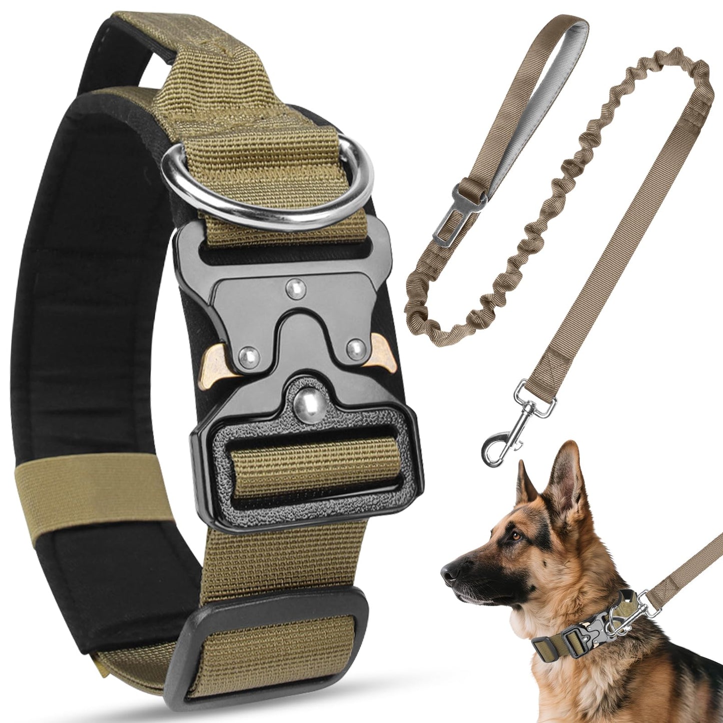 Guardian Tactical Collar