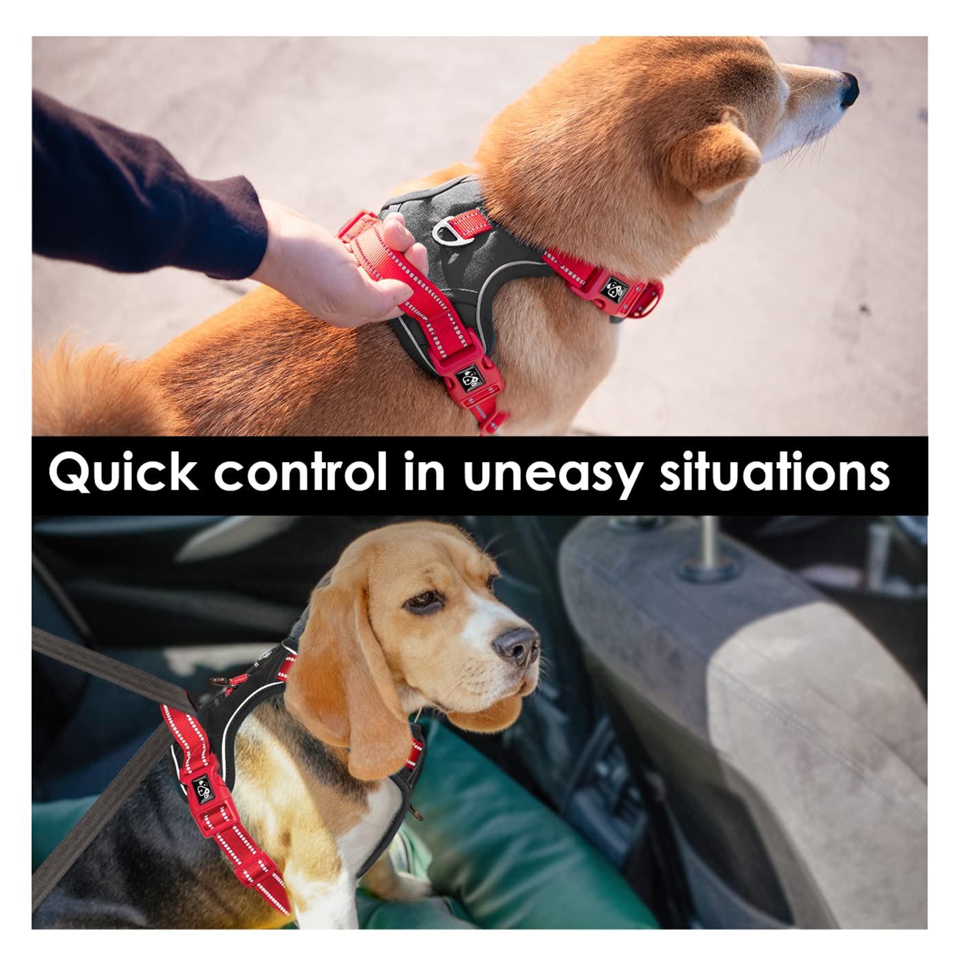 SecureFit Dog Harness