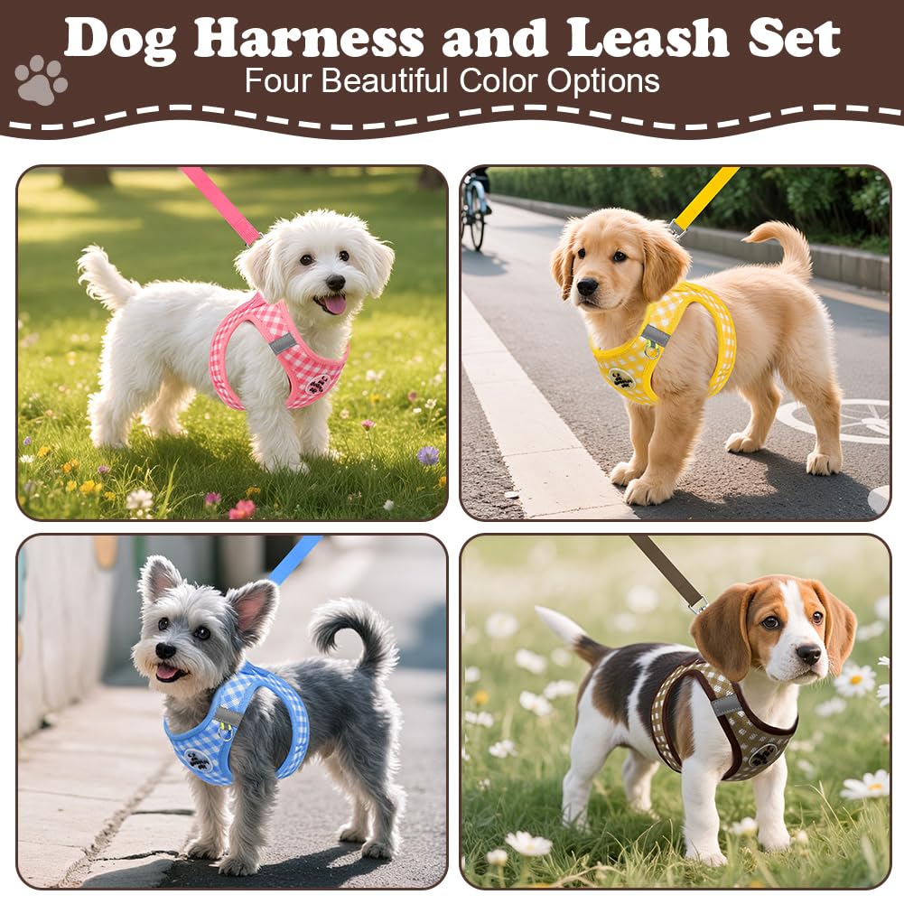 EasyWalk Pro Harness