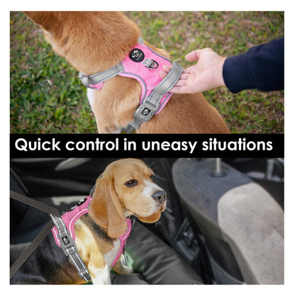 SecureFit Dog Harness