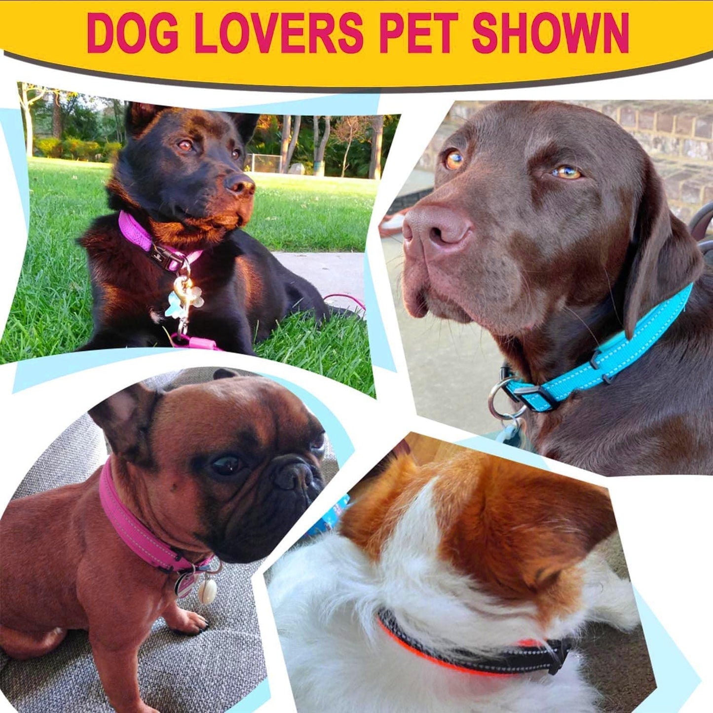 ComfortGlow Dog Collar