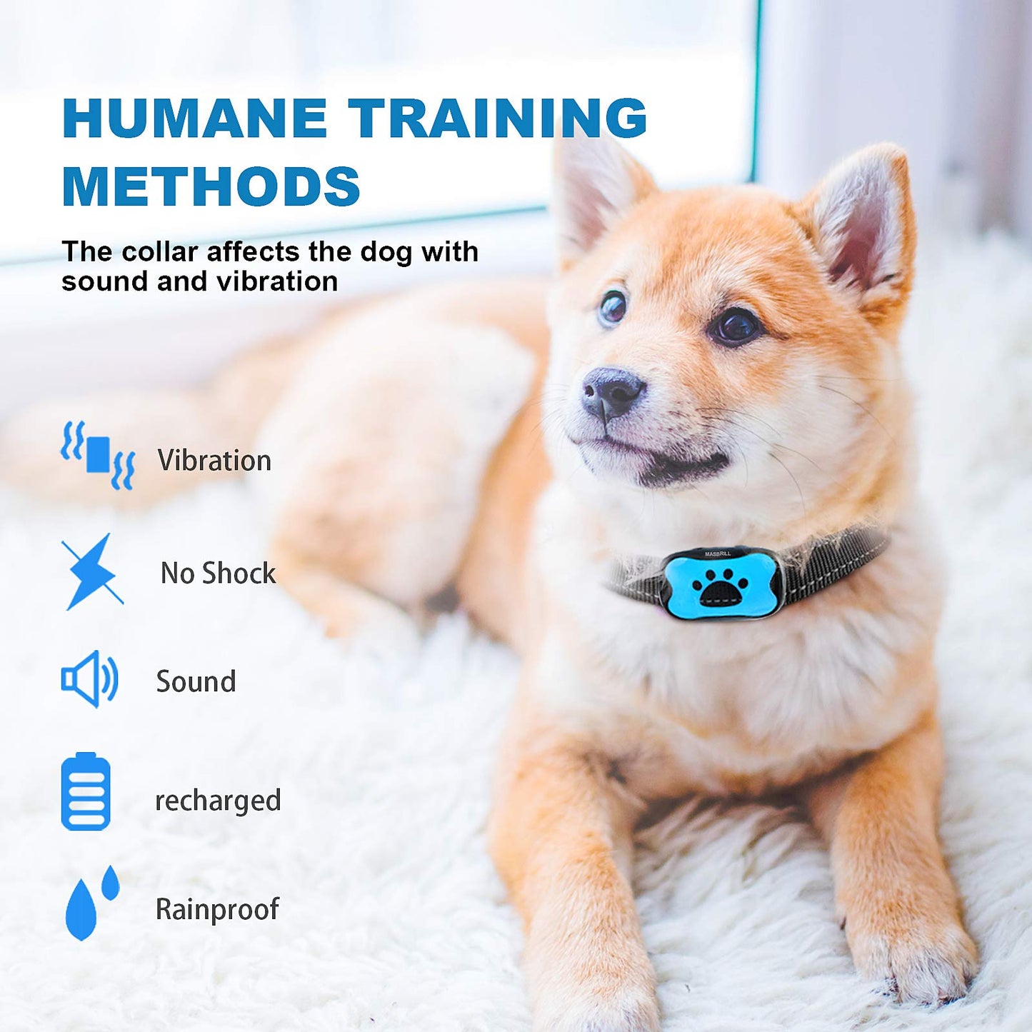 QuietPaw Training Collar
