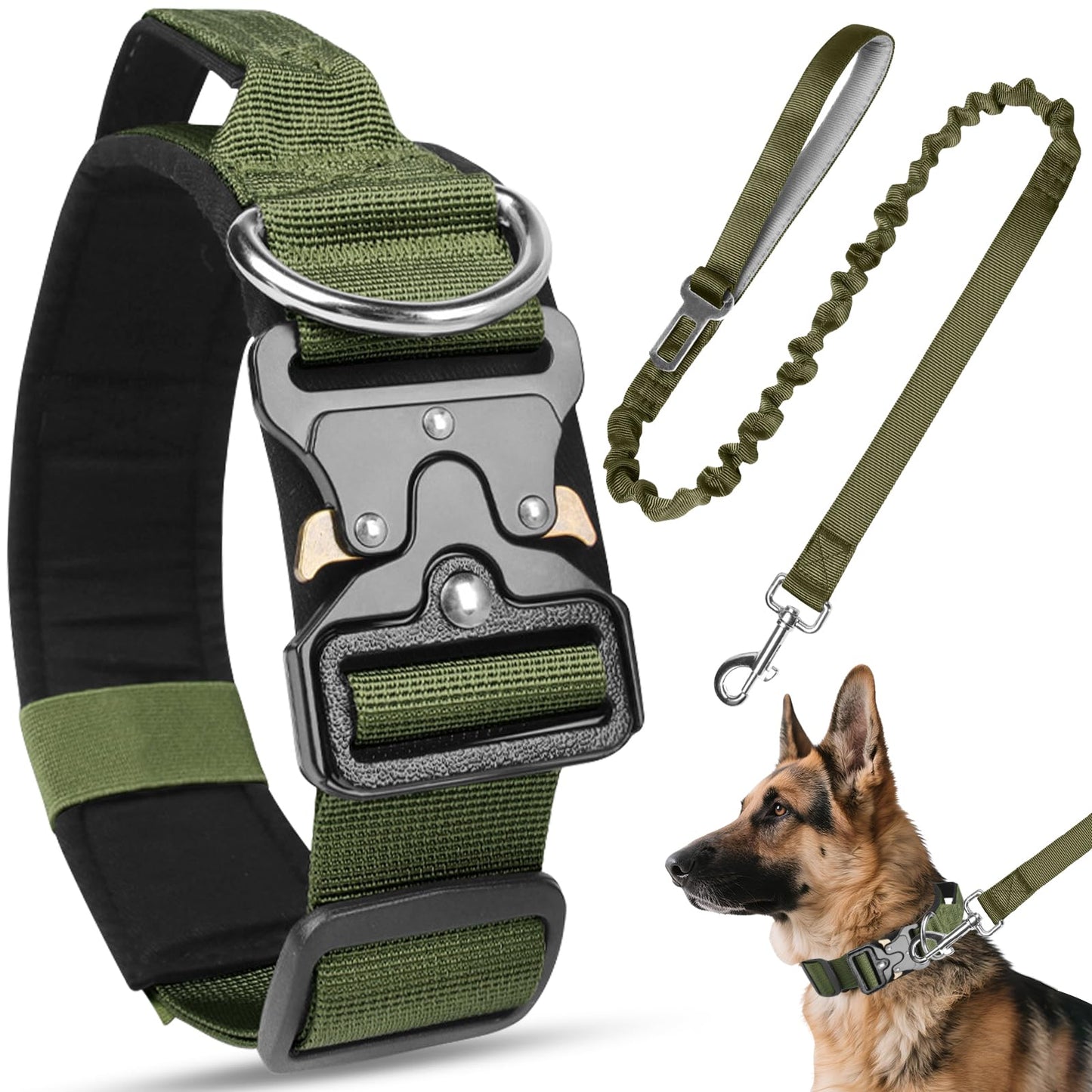 Guardian Tactical Collar