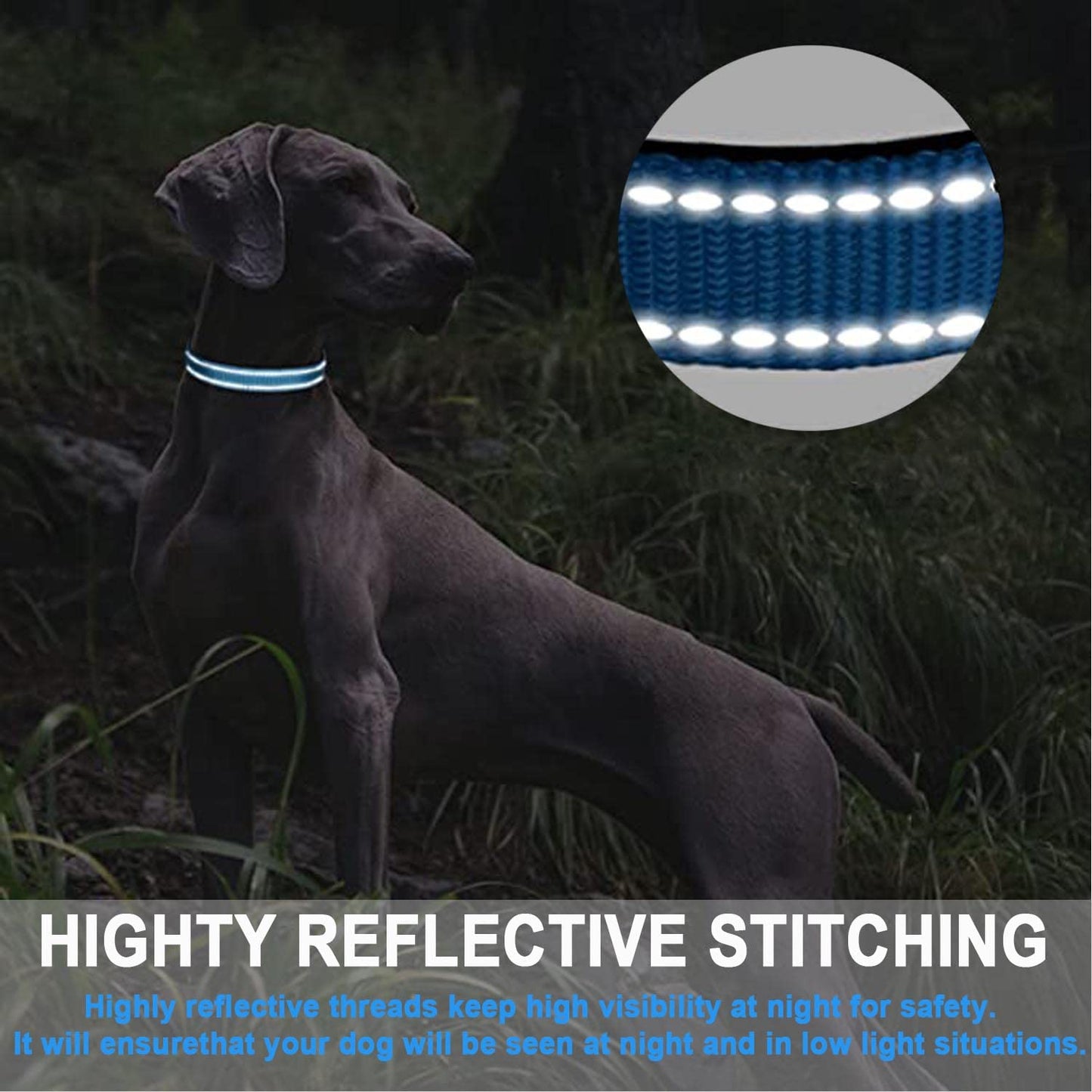 ComfortGlow Dog Collar