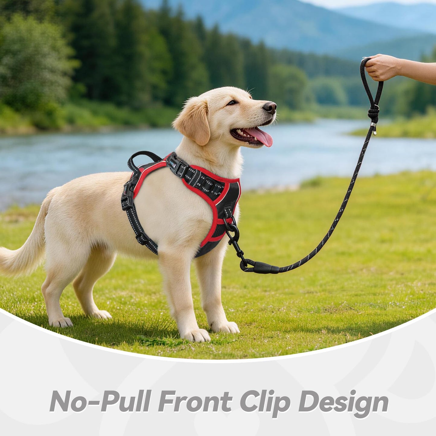 SecureFit Dog Harness